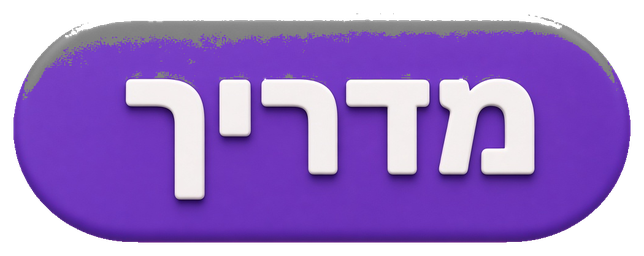 מדריך
